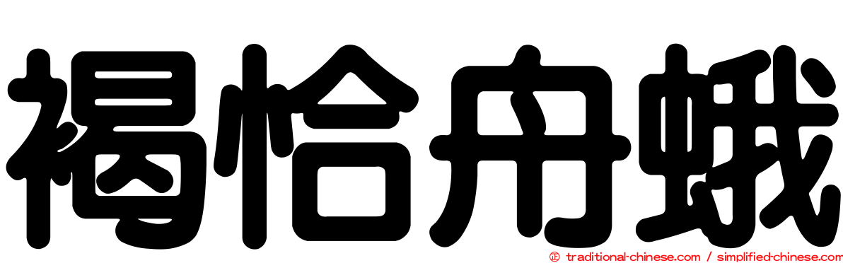 褐恰舟蛾
