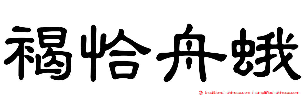 褐恰舟蛾