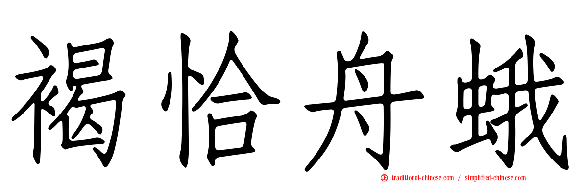 褐恰舟蛾