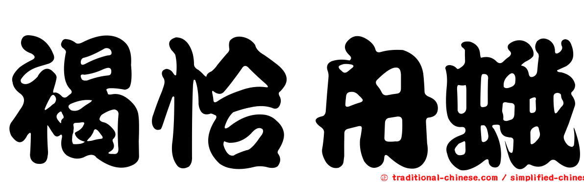 褐恰舟蛾