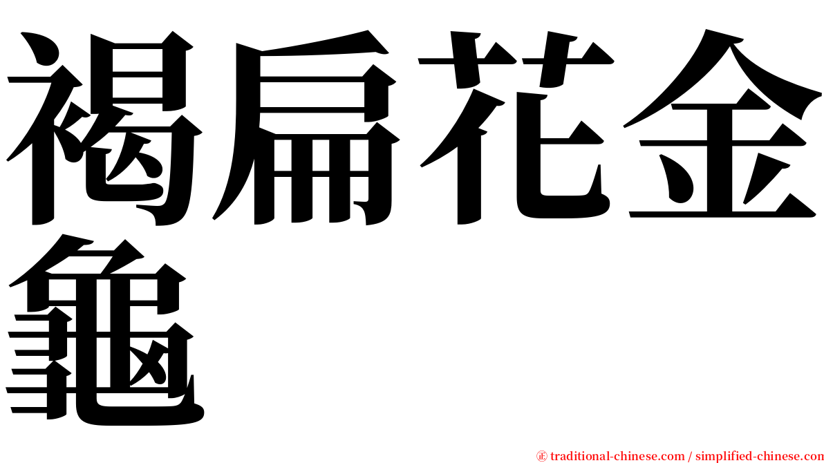褐扁花金龜 serif font