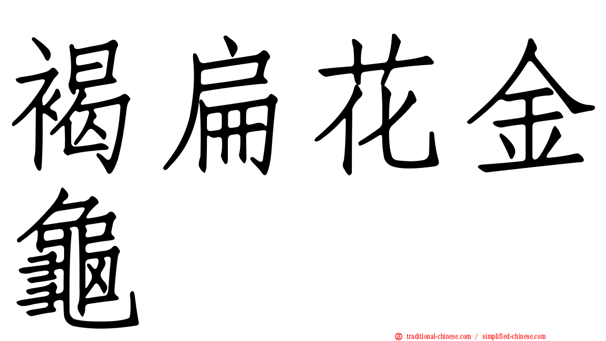 褐扁花金龜