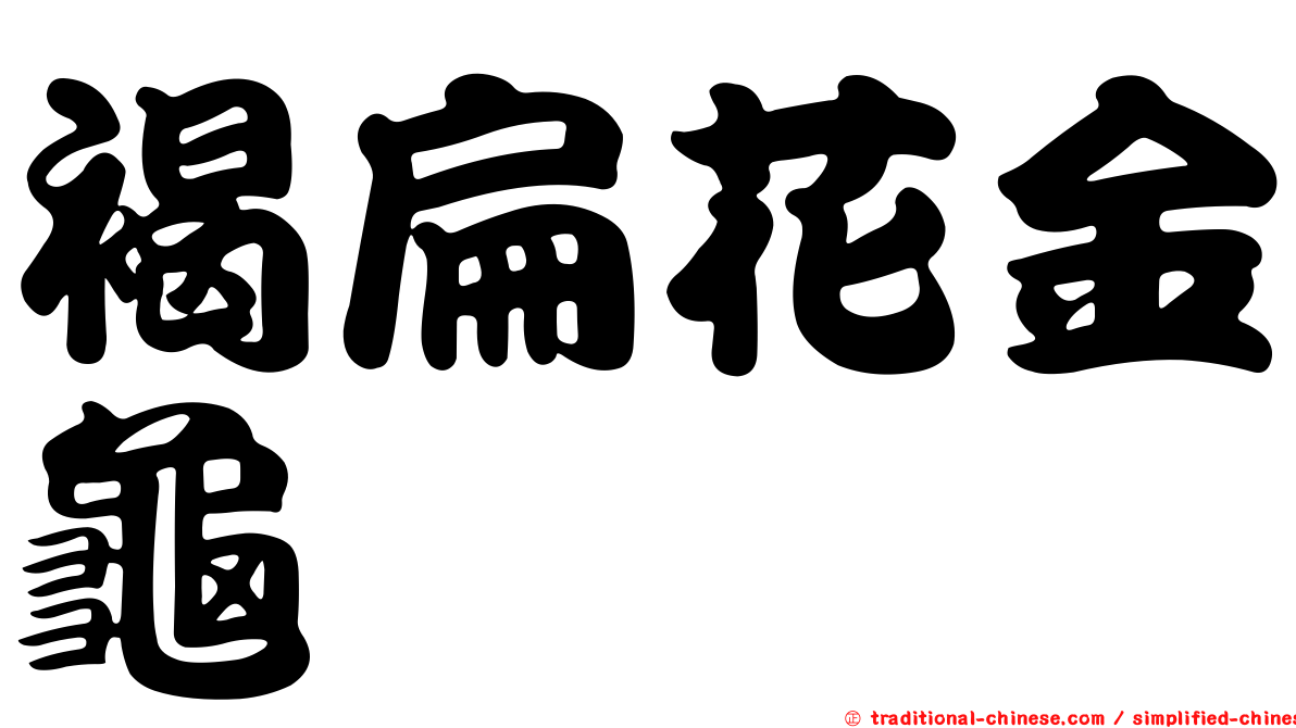 褐扁花金龜