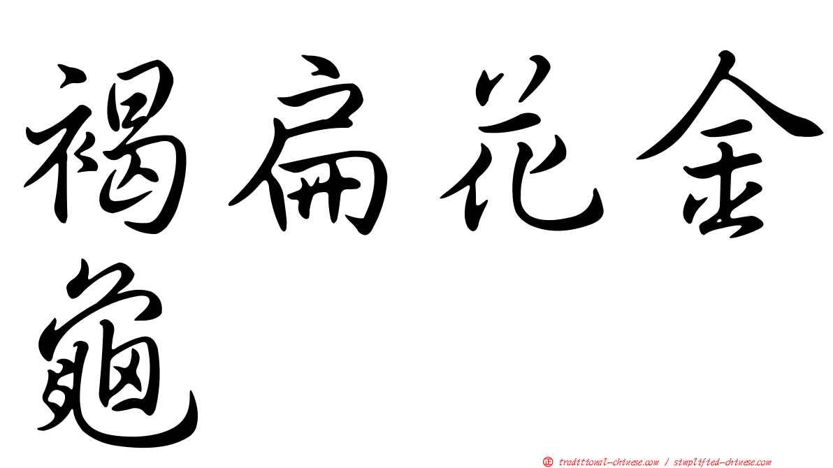 褐扁花金龜