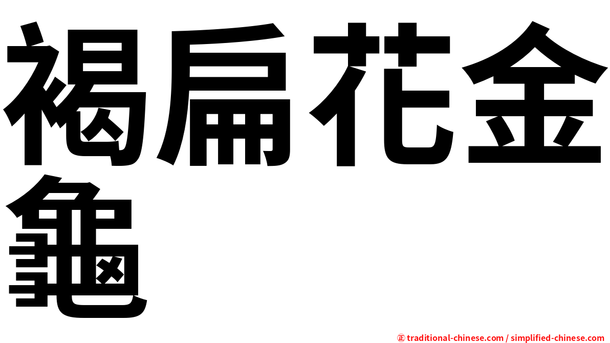 褐扁花金龜