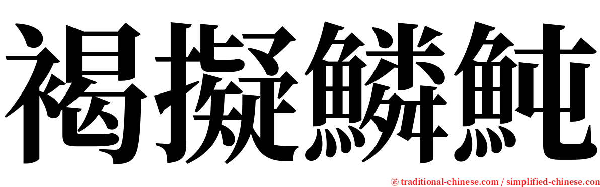 褐擬鱗魨 serif font