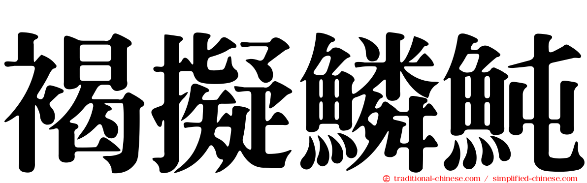 褐擬鱗魨