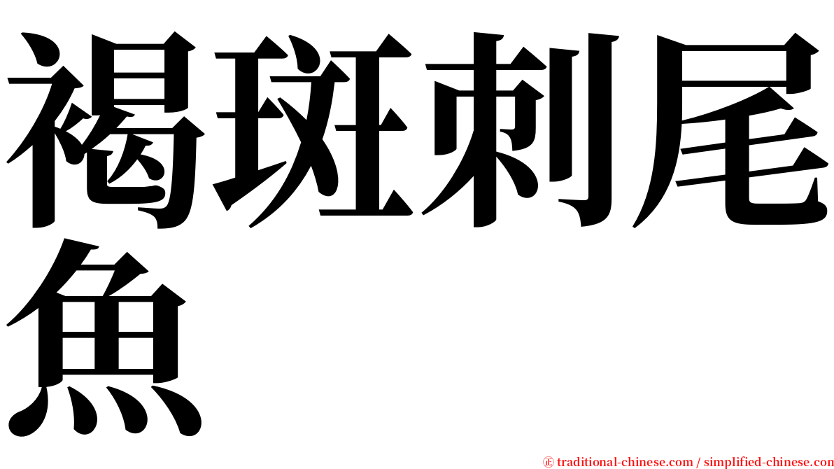 褐斑刺尾魚 serif font
