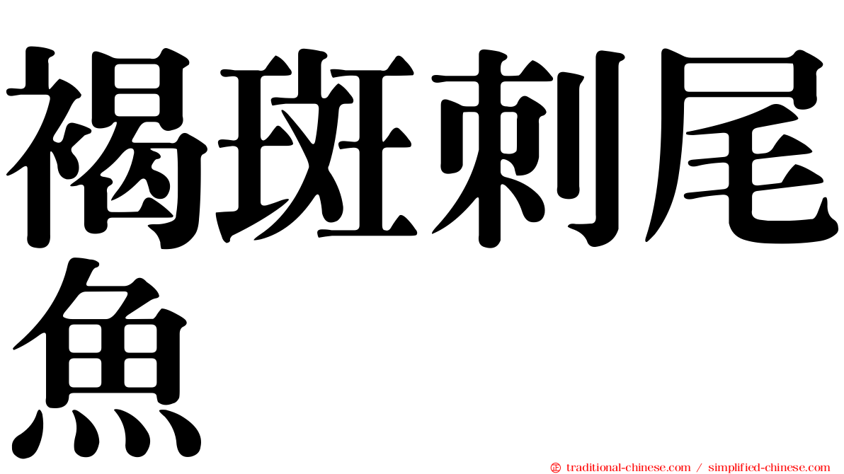 褐斑刺尾魚
