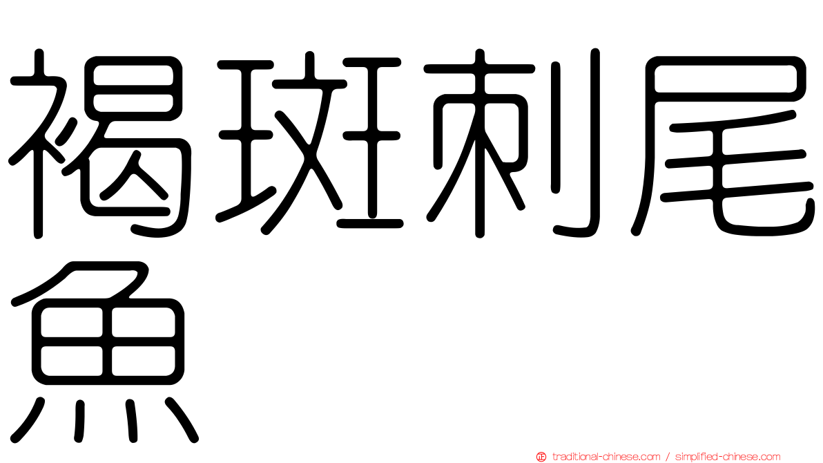 褐斑刺尾魚