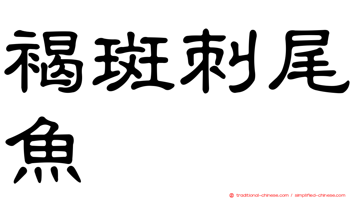 褐斑刺尾魚