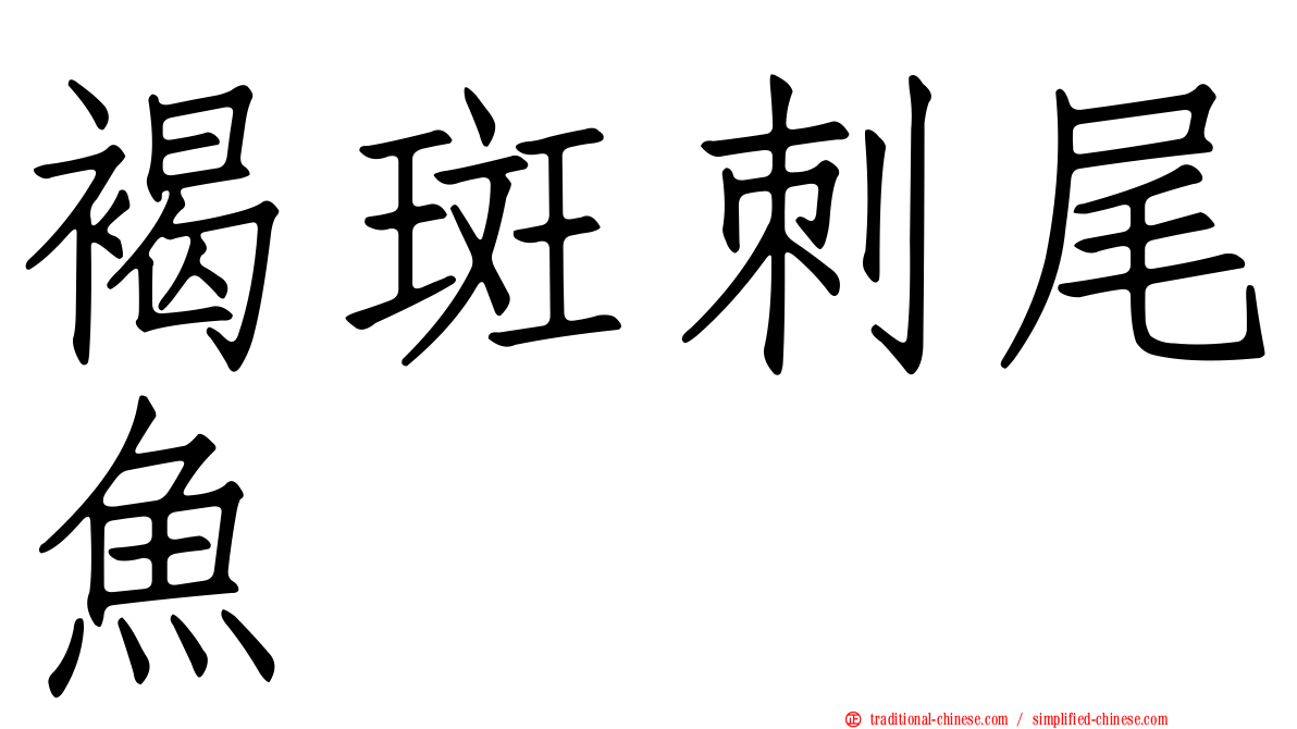 褐斑刺尾魚