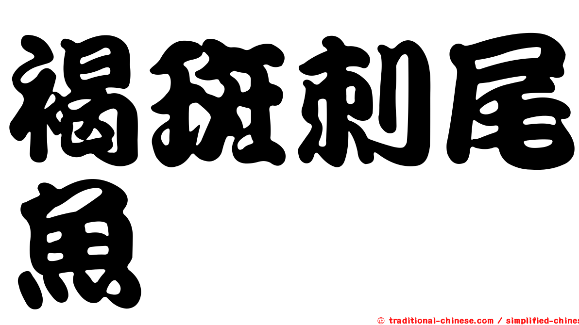 褐斑刺尾魚