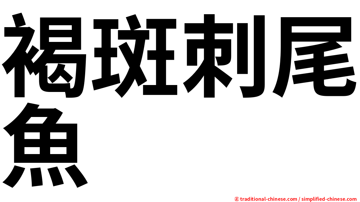 褐斑刺尾魚