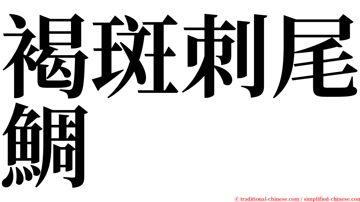 褐斑刺尾鯛 serif font