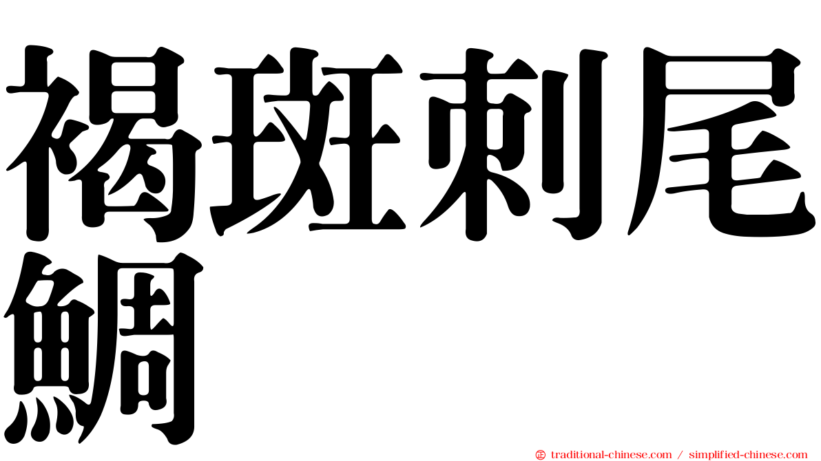 褐斑刺尾鯛