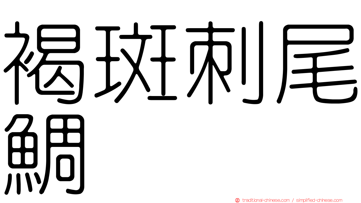 褐斑刺尾鯛