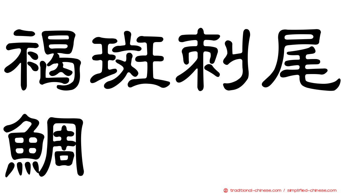 褐斑刺尾鯛
