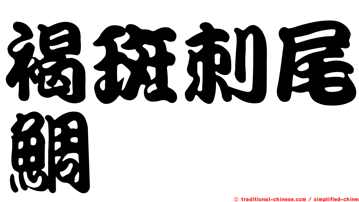褐斑刺尾鯛
