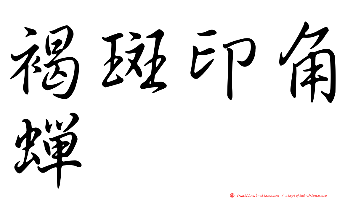 褐斑印角蟬