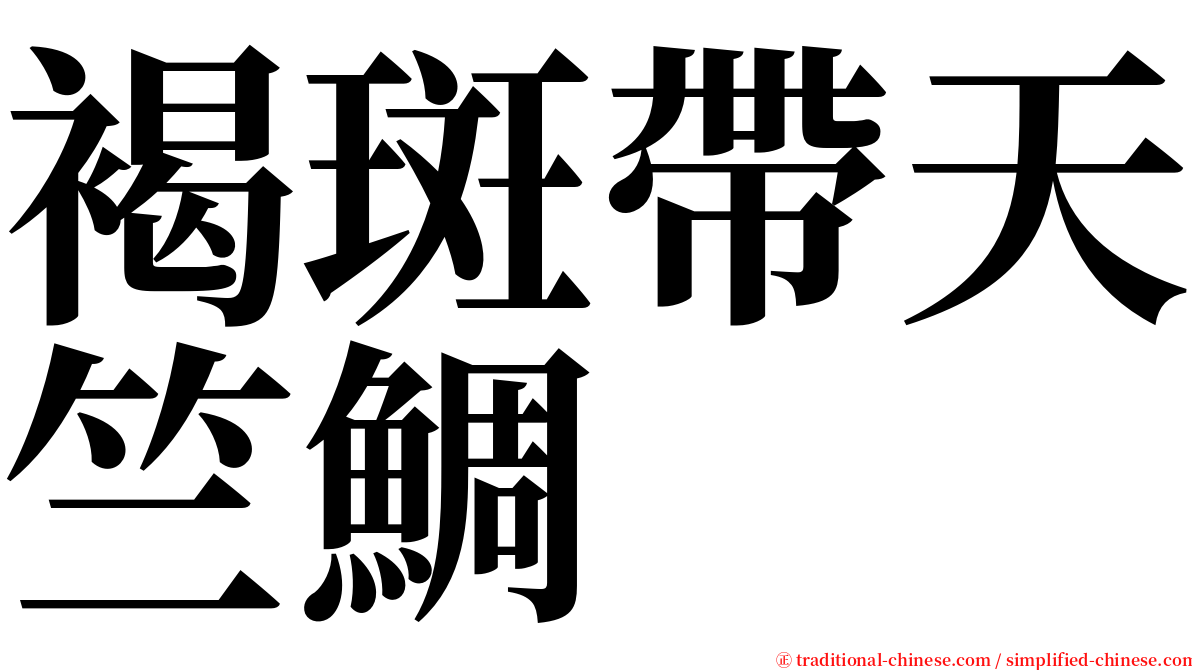 褐斑帶天竺鯛 serif font