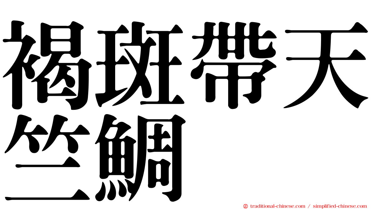 褐斑帶天竺鯛