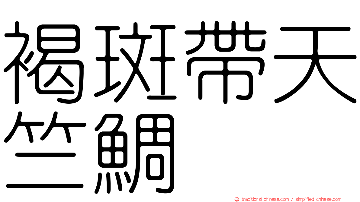 褐斑帶天竺鯛