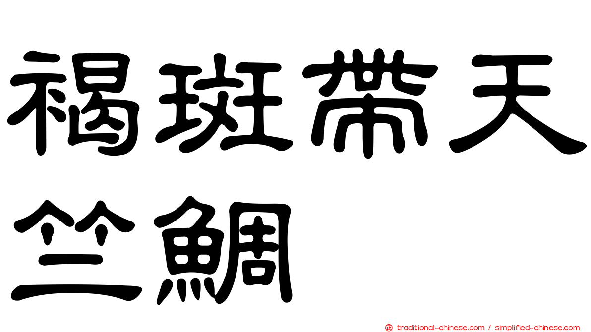 褐斑帶天竺鯛