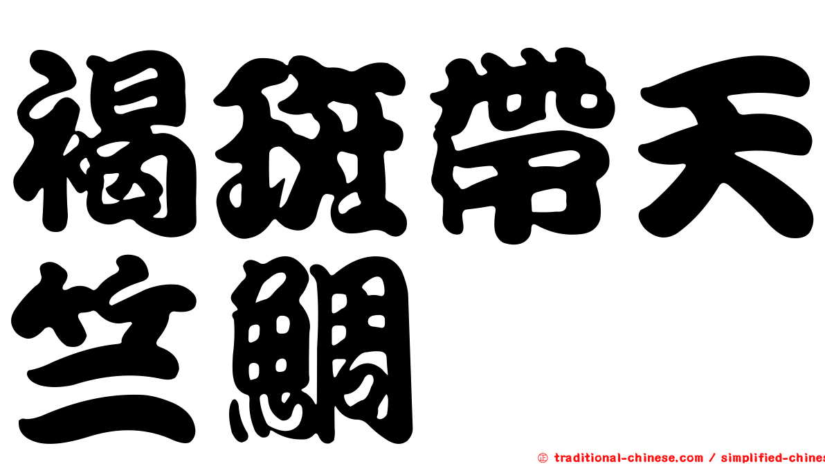 褐斑帶天竺鯛