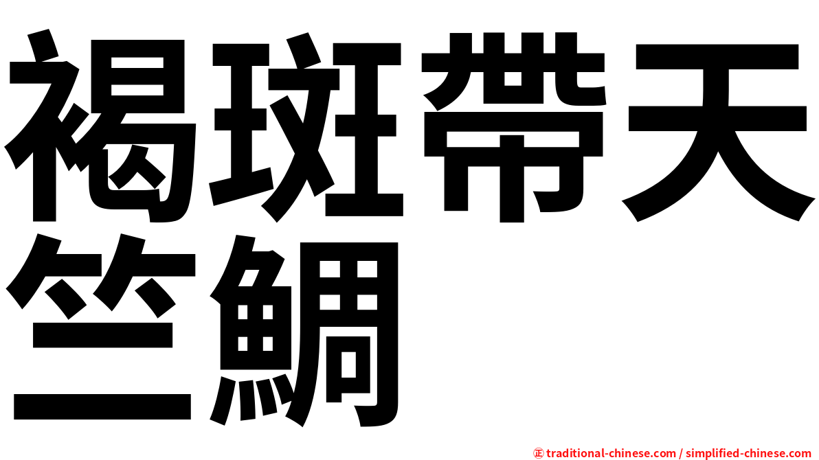褐斑帶天竺鯛
