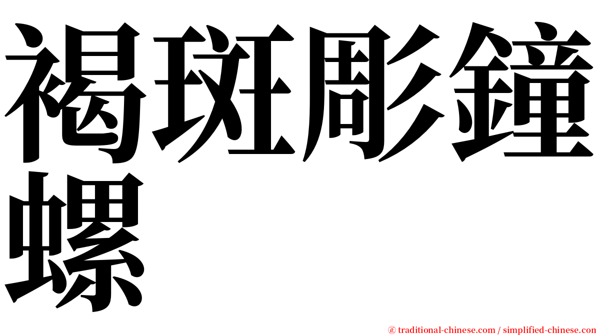 褐斑彫鐘螺 serif font