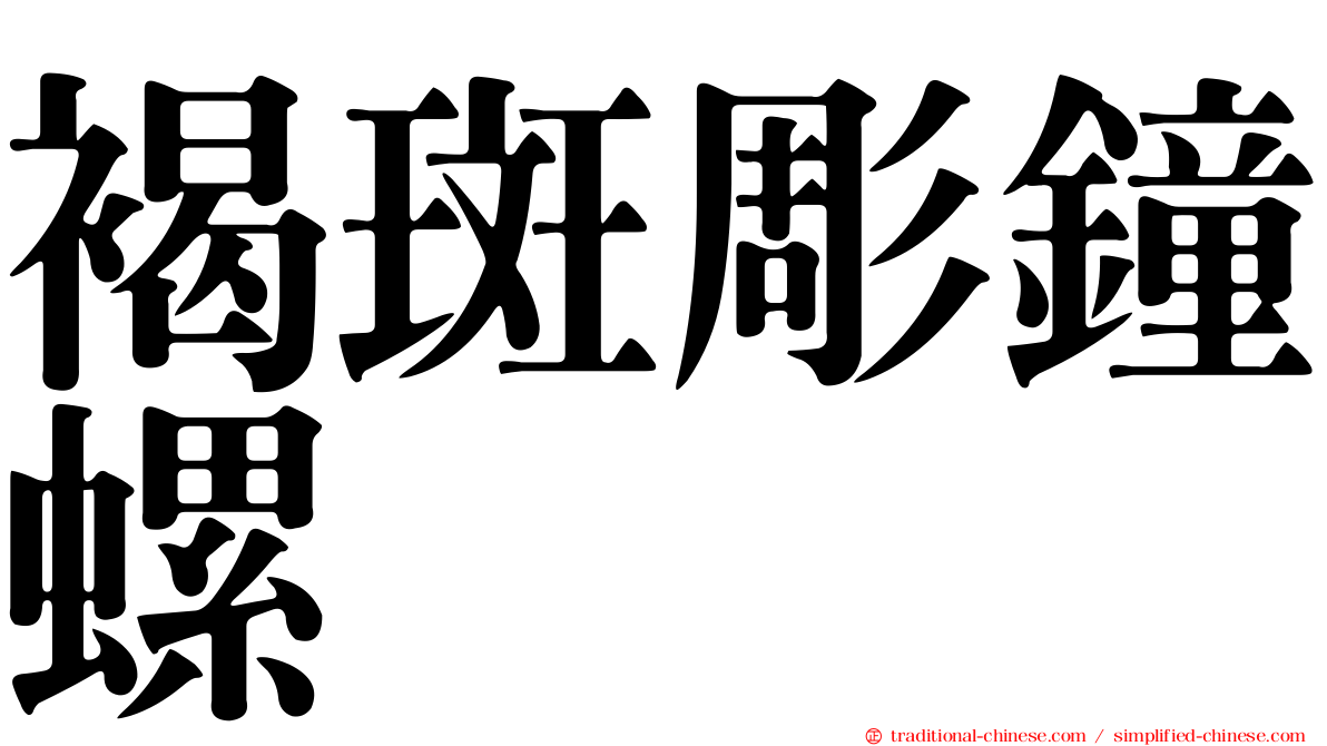 褐斑彫鐘螺