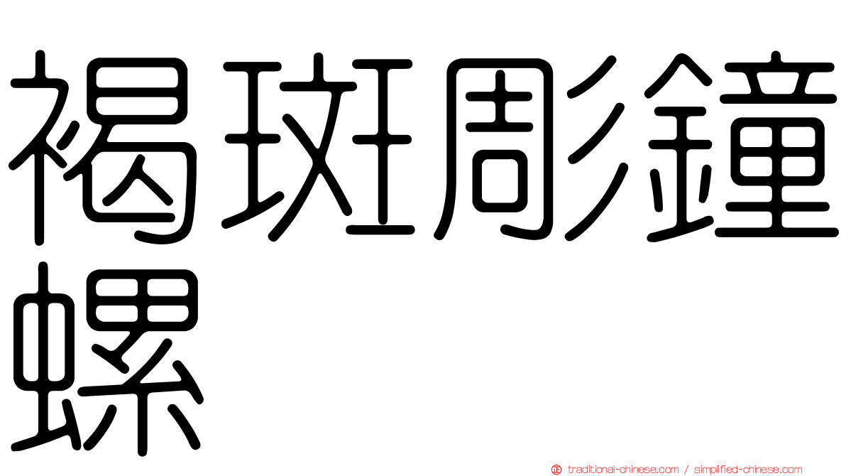 褐斑彫鐘螺