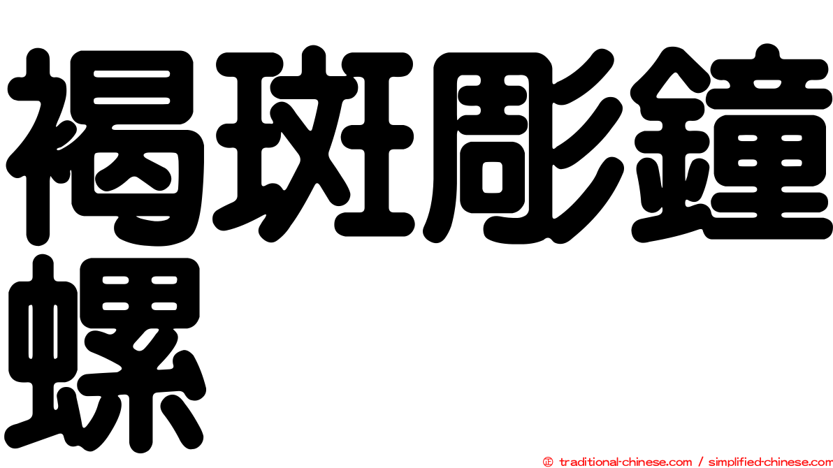 褐斑彫鐘螺