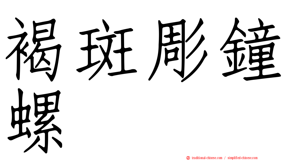 褐斑彫鐘螺
