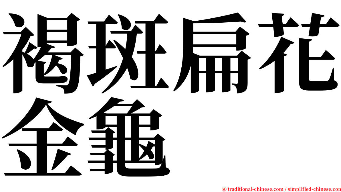 褐斑扁花金龜 serif font