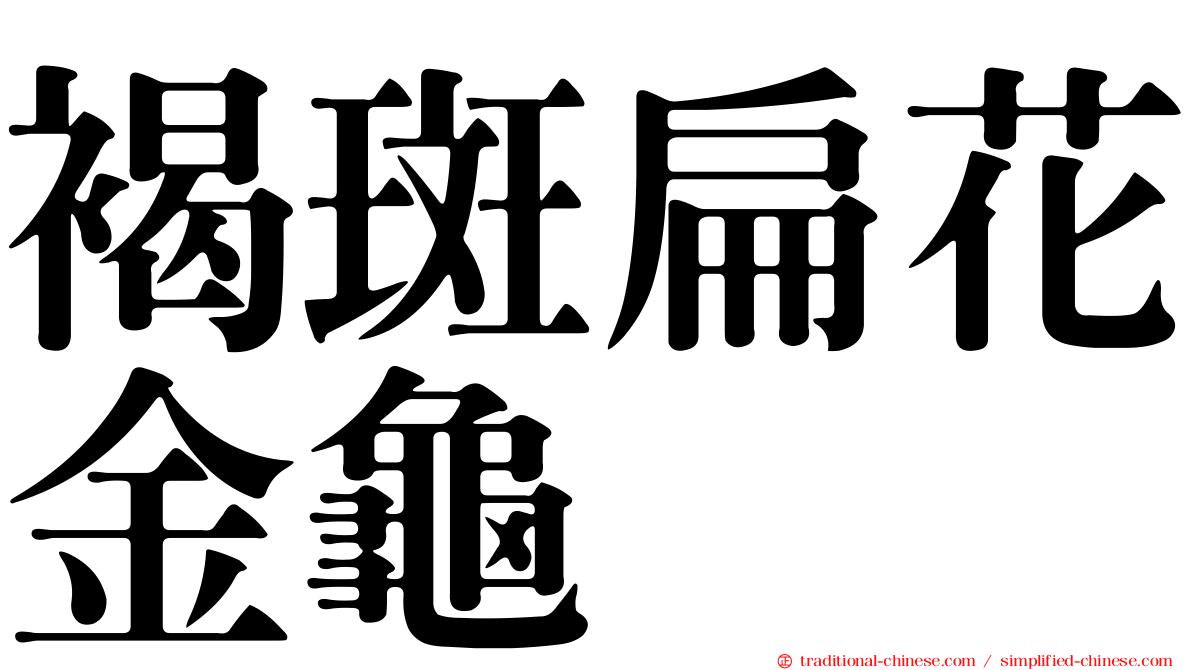 褐斑扁花金龜