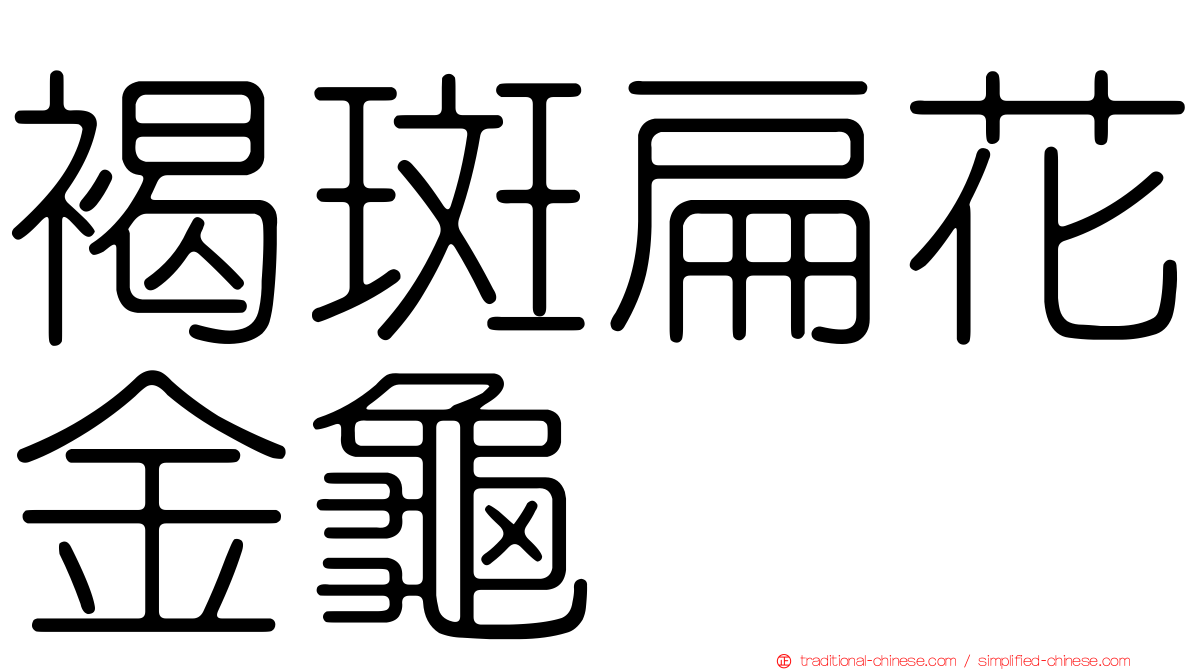褐斑扁花金龜