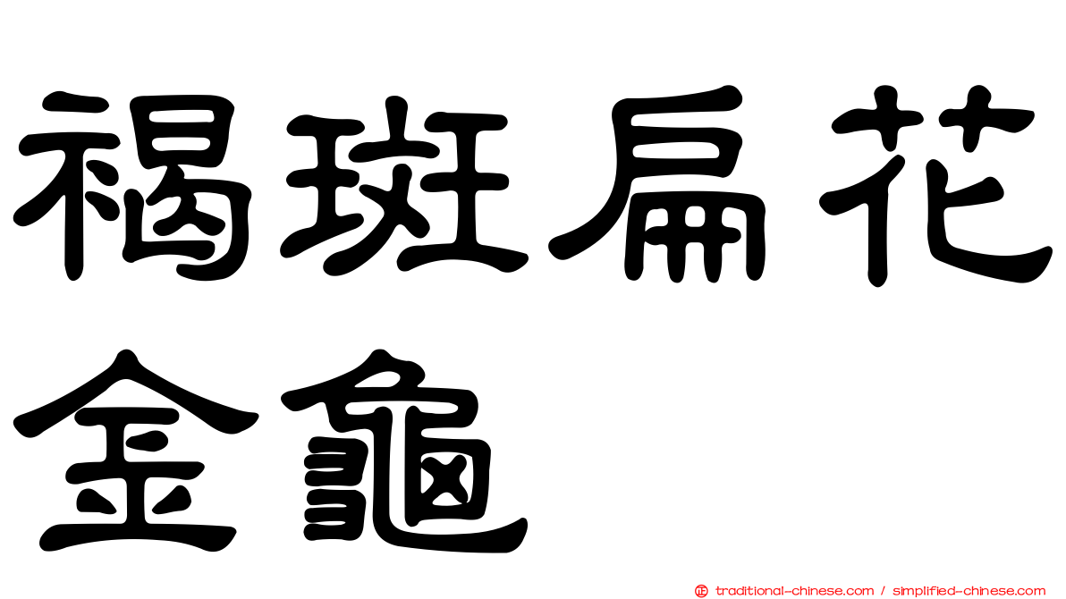 褐斑扁花金龜
