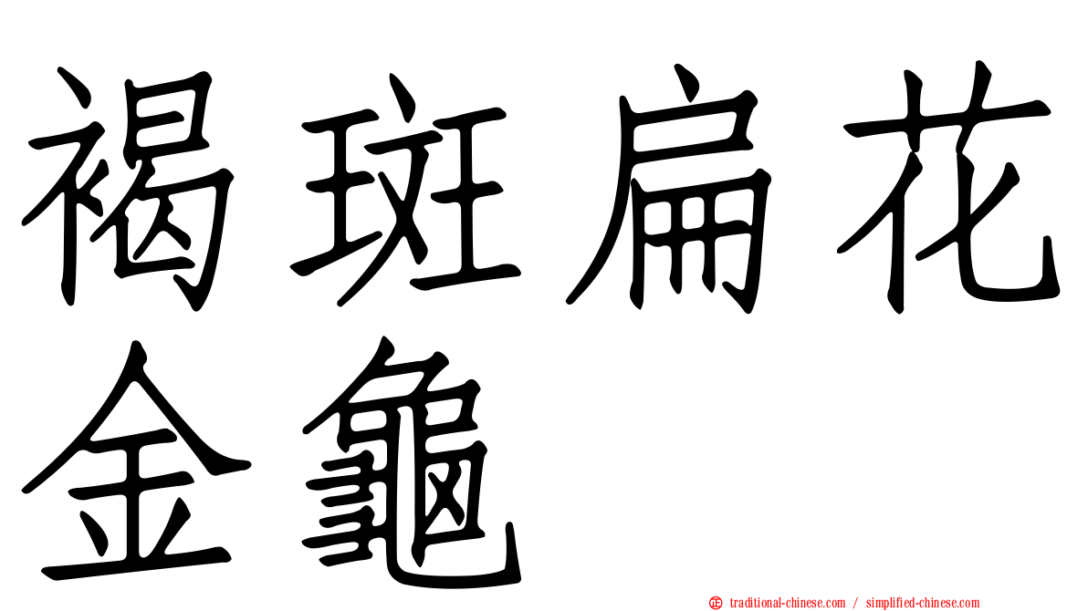 褐斑扁花金龜