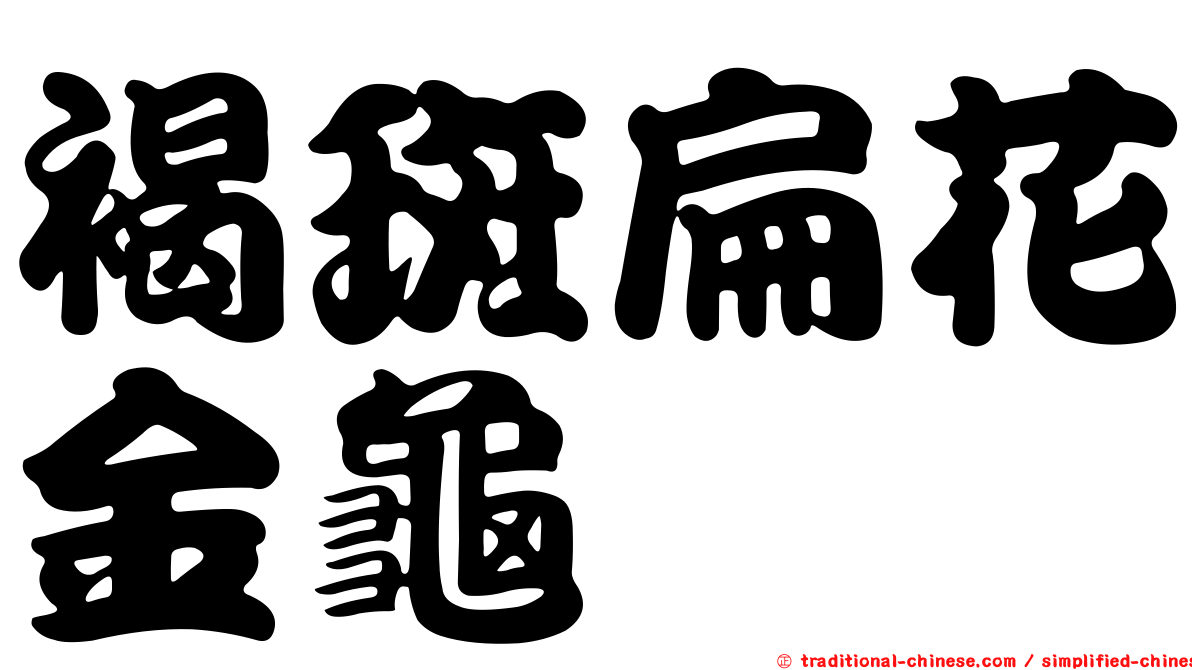 褐斑扁花金龜