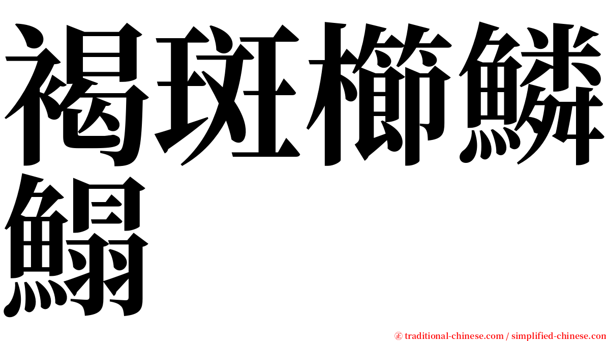 褐斑櫛鱗鰨 serif font