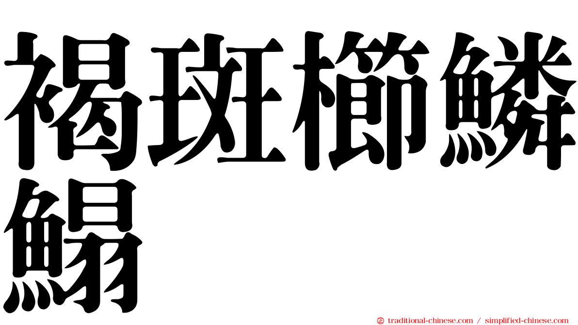 褐斑櫛鱗鰨
