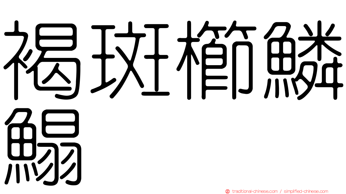 褐斑櫛鱗鰨