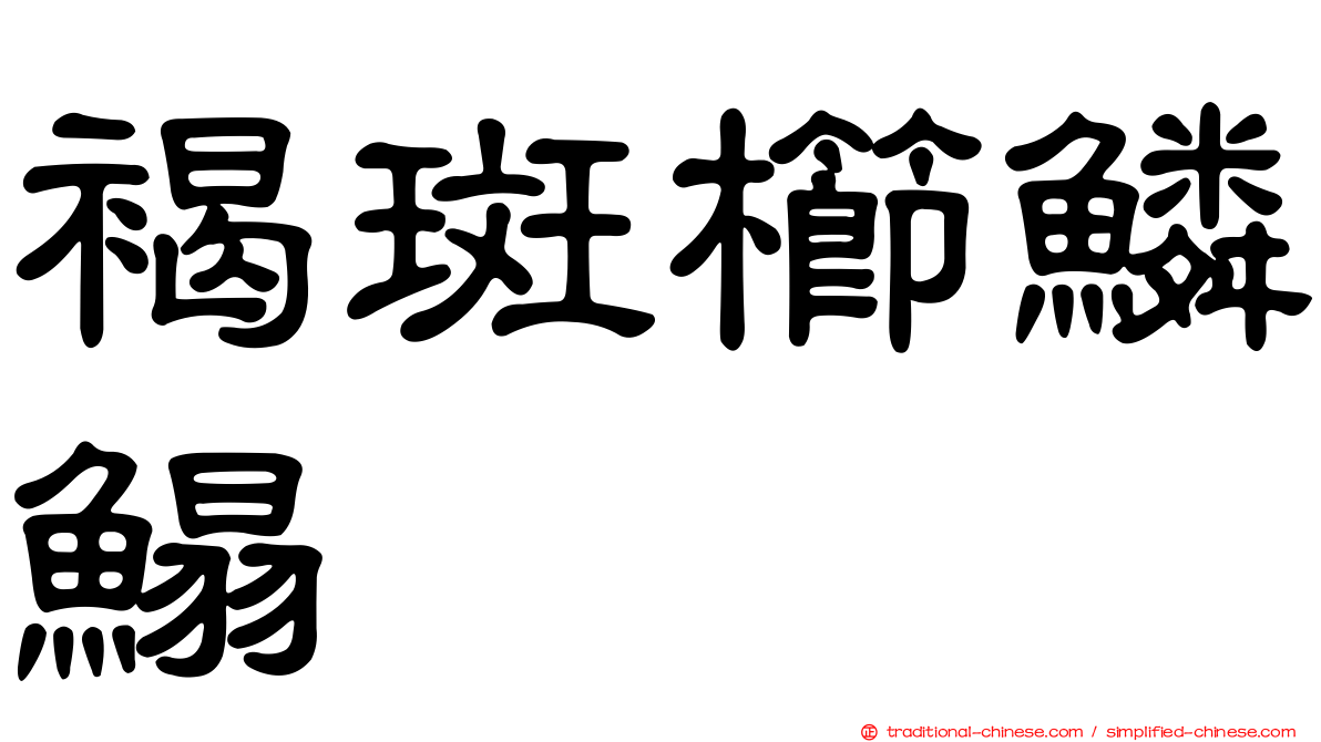 褐斑櫛鱗鰨