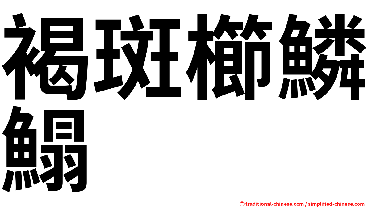 褐斑櫛鱗鰨