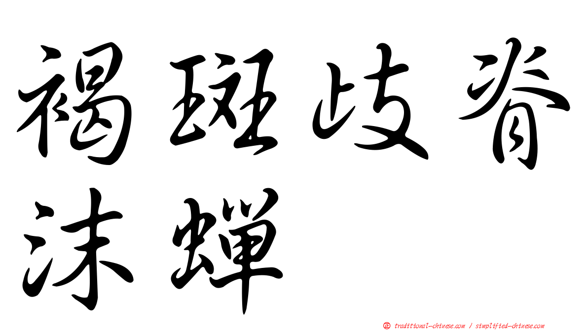 褐斑歧脊沫蟬