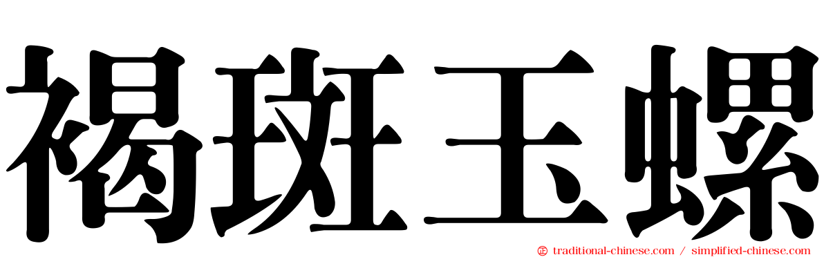 褐斑玉螺