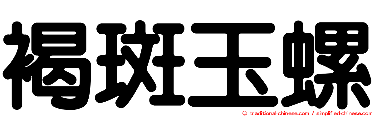 褐斑玉螺