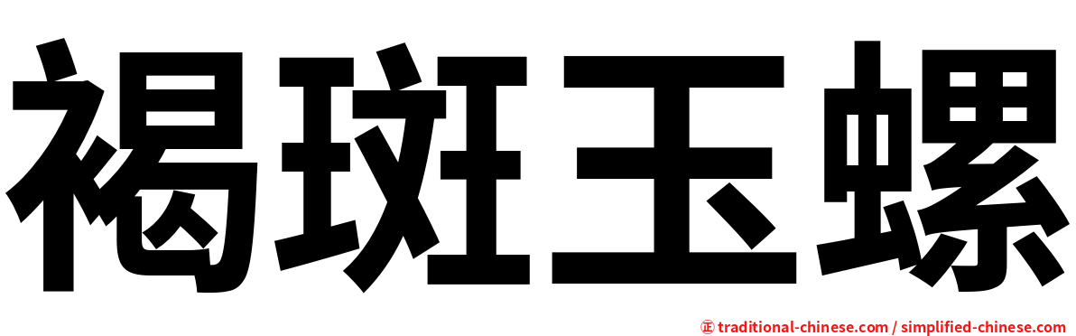 褐斑玉螺